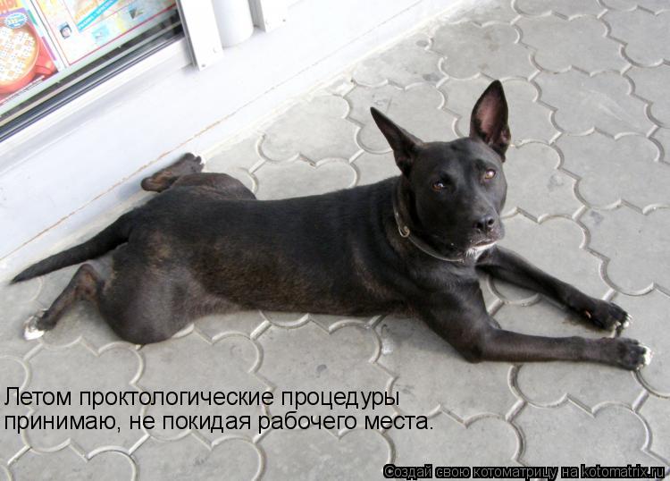 Котоматрица: Летом проктологические процедуры принимаю, не покидая рабочего места.