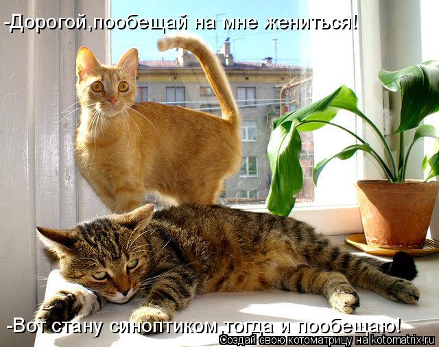 Котоматрица: -Дорогой,пообещай на мне жениться! -Вот стану синоптиком,тогда и пообещаю!