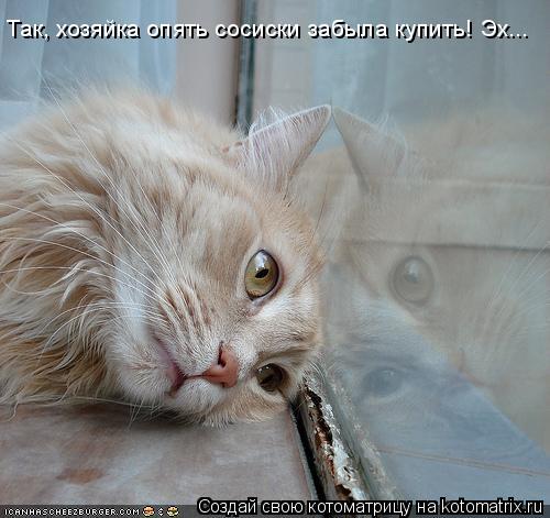 Так, хозяйка опять сосиски забыла купить! Эх...... Котоматрица: Так, хозяйка опять сосиски забыла купить! Эх...