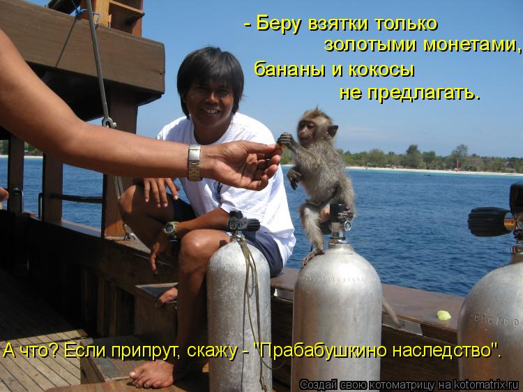 - Беру взятки только золотыми монетами, бананы и кокосы не предлагать. А что? Если припрут, скажу - ... Котоматрица: - Беру взятки только золотыми монетами, бананы и кокосы не предлагать. А что? Если припрут, скажу - "Прабабушкино наследство".
