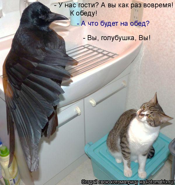 - У нас гости? А вы как раз вовремя! - А что будет на обед? - Вы, голубушка, Вы! К обеду!... Котоматрица: - У нас гости? А вы как раз вовремя! - А что будет на обед? - Вы, голубушка, Вы! К обеду!