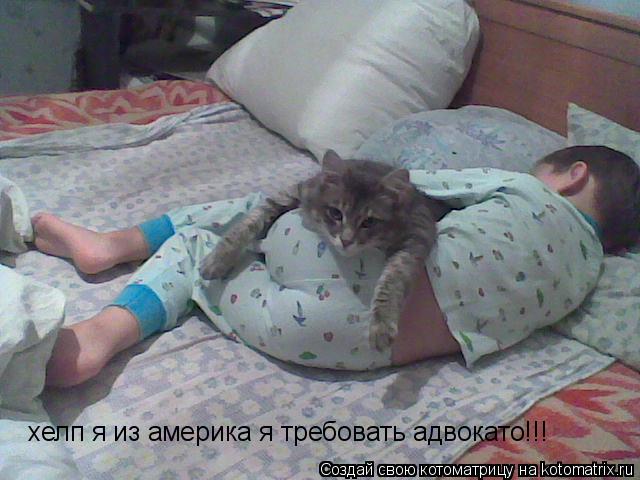 Котоматрица: хелп я из америка я требовать адвокато!!!