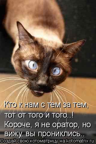 Котоматрица: Кто к нам с тем за тем, тот от того и того..! Короче, я не оратор, но вижу, вы прониклись..