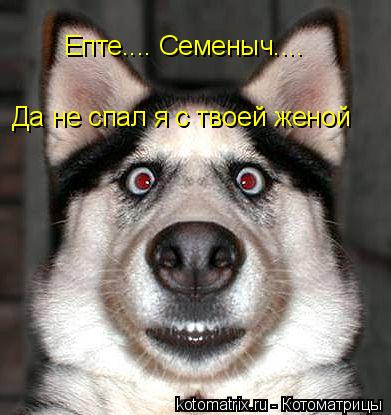Котоматрица: Епте.... Семеныч.... Да не спал я с твоей женой