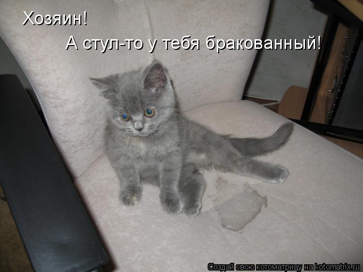 Котоматрица: Хозяин!  А стул-то у тебя бракованный!