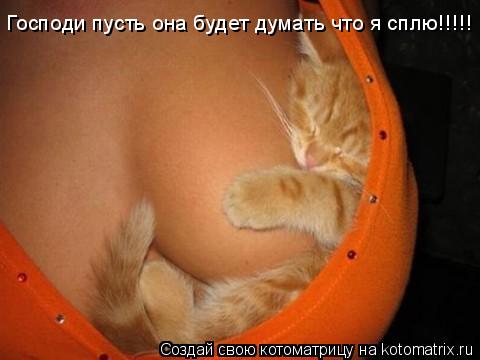 Господи пусть она будет думать что я сплю!!!!!... Котоматрица: Господи пусть она будет думать что я сплю!!!!!