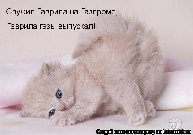 Служил Гаврила на Газпроме, Гаврила газы выпускал!... Котоматрица: Служил Гаврила на Газпроме, Гаврила газы выпускал!