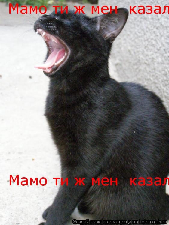 Котоматрица: Мамо ти ж мені казала любов бідааааааа Мамо ти ж мені казала любов бідааааааа