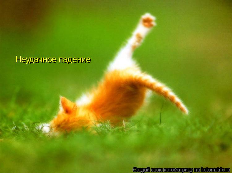 Котоматрица: Неудачное падение