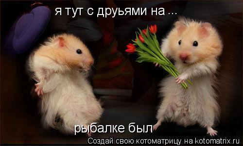 Котоматрица: я тут с друьями на  рыбалке был  ...