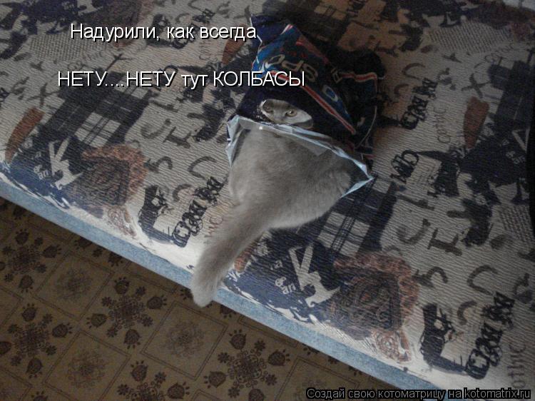 Котоматрица: Надурили, как всегда НЕТУ....НЕТУ тут КОЛБАСЫ