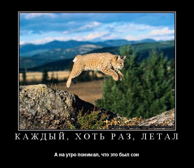 Котоматрица: Каждый, хоть раз, летал А на утро понимал, что это был сон