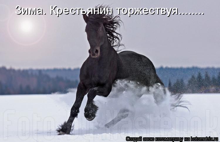 Зима. Крестьянин торжествуя........... Котоматрица: Зима. Крестьянин торжествуя........