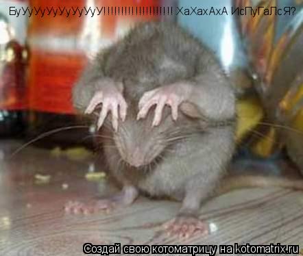 БуУуУуУуУуУуУуУ!!!!!!!!!!!!!!!!!!!! ХаХахАхА ИсПуГаЛсЯ?... Котоматрица: БуУуУуУуУуУуУуУ!!!!!!!!!!!!!!!!!!!! ХаХахАхА ИсПуГаЛсЯ?