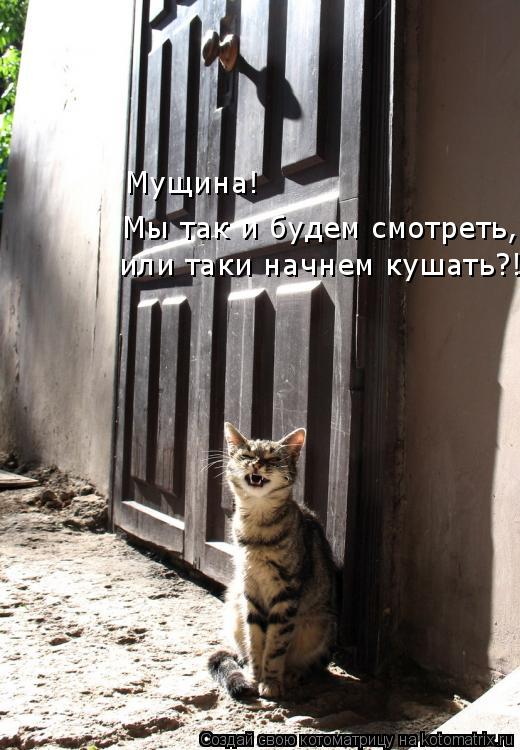 Котоматрица: Мы так и будем смотреть,  или таки начнем кушать?! Мущина!