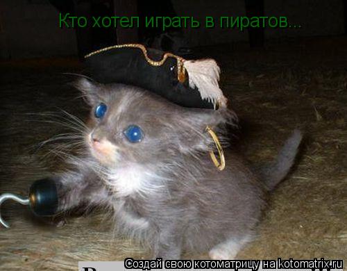 Котоматрица: Кто хотел играть в пиратов...