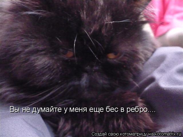 Вы не думайте у меня еще бес в ребро....... Котоматрица: Вы не думайте у меня еще бес в ребро....