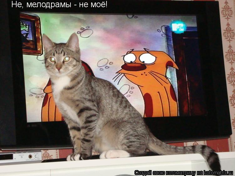Не, мелодрамы - не моё!... Котоматрица: Не, мелодрамы - не моё!