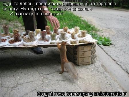 Котоматрица: Будь те добры, предъявите разрешение на торговлю, ах нету! Ну тогда ваш товар конфискован!  И возврату не подлежит!