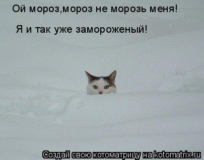 Ой мороз,мороз не морозь меня! Я и так уже замороженый!... Котоматрица: Ой мороз,мороз не морозь меня! Я и так уже замороженый!