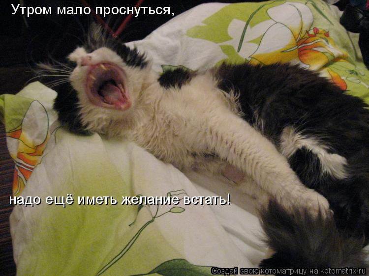 Котоматрица: Утром мало проснуться, надо ещё иметь желание встать!