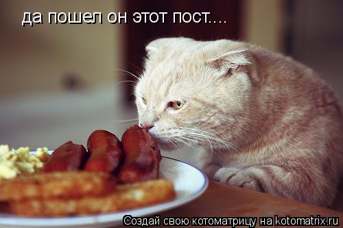 Котоматрица: да пошел он этот пост....