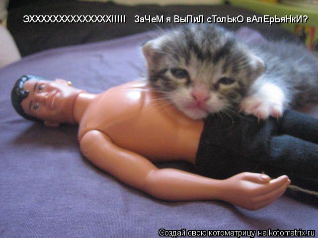 ЭХХХХХХХХХХХХХХ!!!!! ЗаЧеМ я ВыПиЛ сТолЬкО вАлЕрЬяНкИ?... Котоматрица: ЭХХХХХХХХХХХХХХ!!!!! ЗаЧеМ я ВыПиЛ сТолЬкО вАлЕрЬяНкИ?