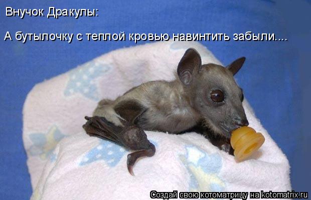 Котоматрица: А бутылочку с теплой кровью навинтить забыли.... Внучок Дракулы: