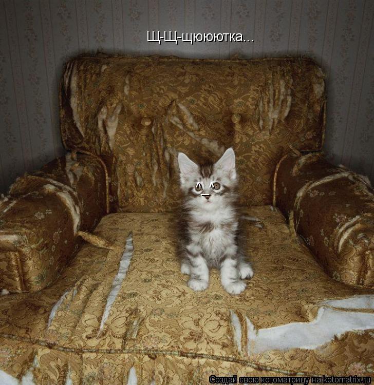 Котоматрица: Щ-Щ-щююютка... ^_^