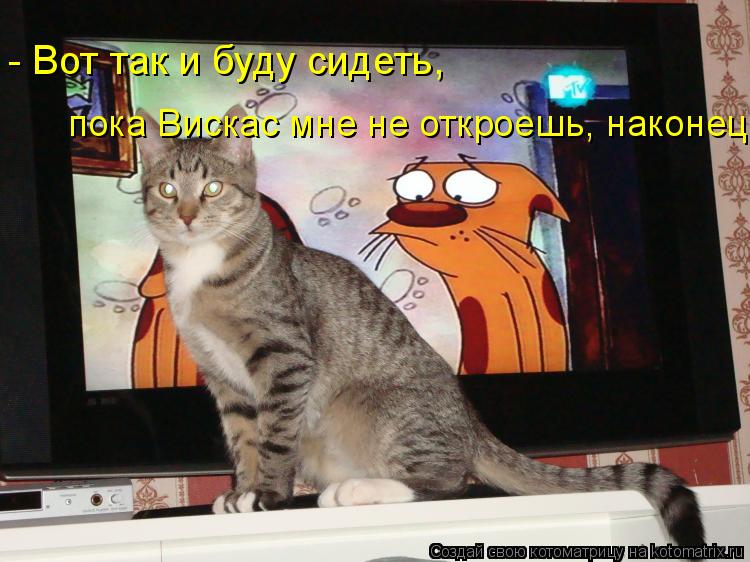 Котоматрица: пока Вискас мне не откроешь, наконец!  - Вот так и буду сидеть,