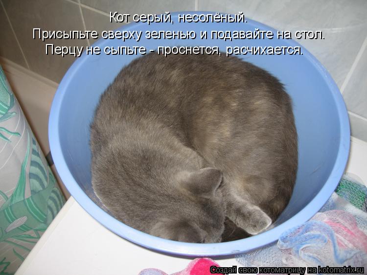 Котоматрица: Присыпьте сверху зеленью и подавайте на стол. Кот серый, несолёный. Перцу не сыпьте - проснется, расчихается.