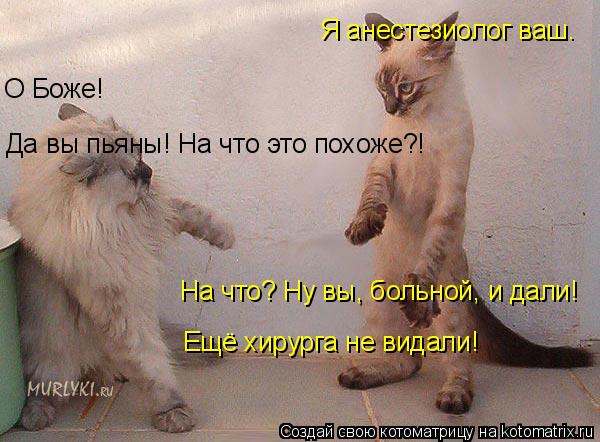 Да вы пьяны! На что это похоже?! Ещё хирурга не видали! Я анестезиолог ваш. О Боже! На что? Ну вы,... Котоматрица: Да вы пьяны! На что это похоже?! Ещё хирурга не видали! Я анестезиолог ваш. О Боже! На что? Ну вы, больной, и дали!