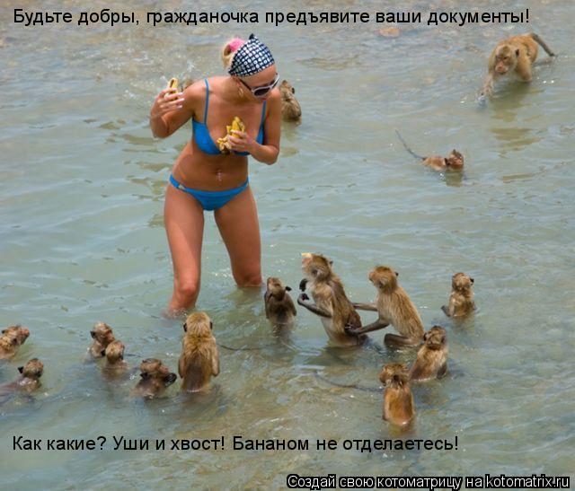 Котоматрица: Будьте добры, гражданочка предъявите ваши документы! Как какие? Уши и хвост! Бананом не отделаетесь!