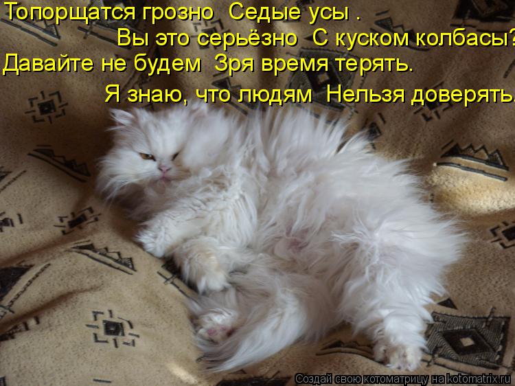 Котоматрица: Топорщатся грозно  Седые усы – Вы это серьёзно  С куском колбасы? Давайте не будем  Зря время терять. Я знаю, что людям  Нельзя доверять.
