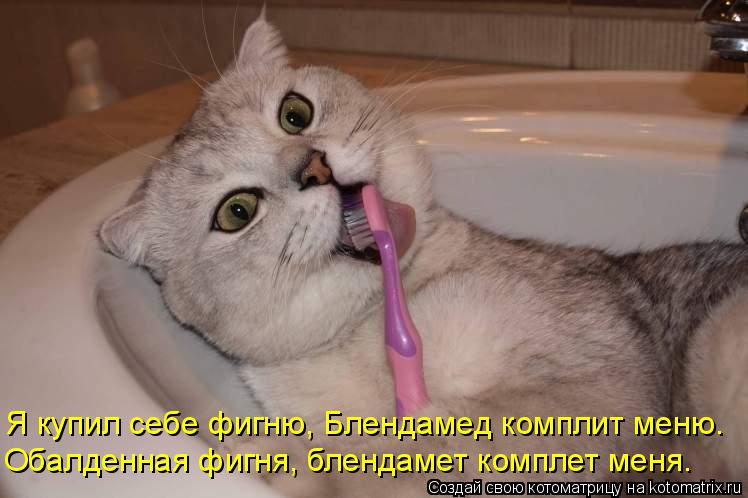 Обалденная фигня, блендамет комплет меня. Я купил себе фигню, Блендамед комплит меню.... Котоматрица: Обалденная фигня, блендамет комплет меня. Я купил себе фигню, Блендамед комплит меню.