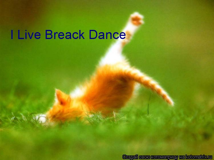 Котоматрица: I Live Breack Dance