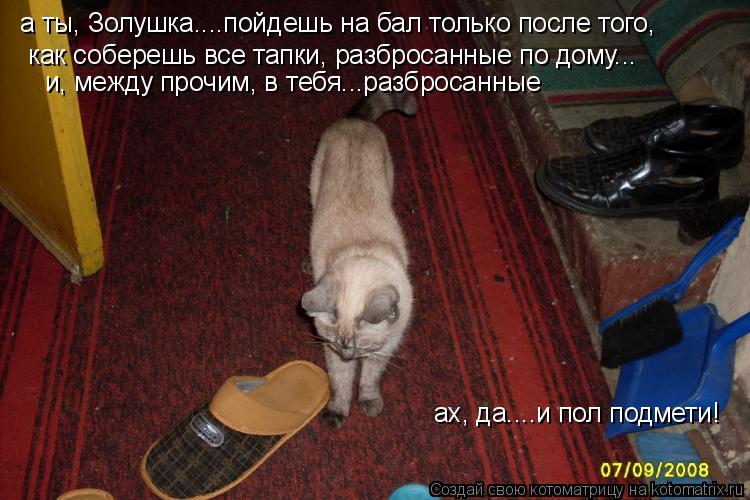 Котоматрица: а ты, Золушка....пойдешь на бал только после того, как соберешь все тапки, разбросанные по дому... и, между прочим, в тебя...разбросанные ах, да....