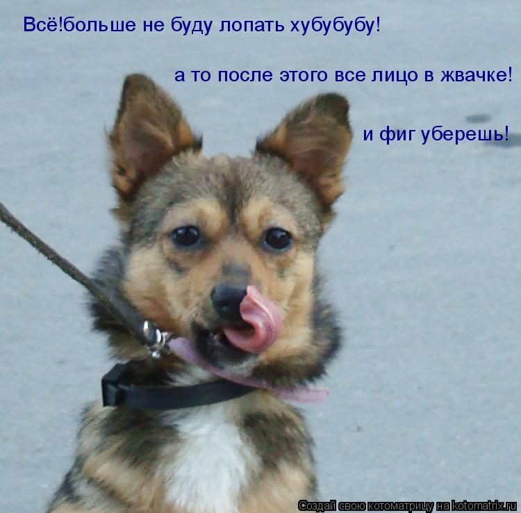 Всё!больше не буду лопать хубубубу! а то после этого все лицо в жвачке! и фиг уберешь!... Котоматрица: Всё!больше не буду лопать хубубубу! а то после этого все лицо в жвачке! и фиг уберешь!