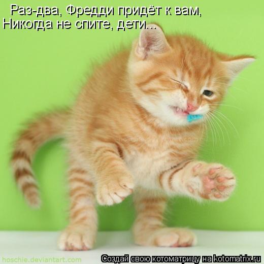 Котоматрица: Раз-два, Фредди придёт к вам, Никогда не спите, дети...
