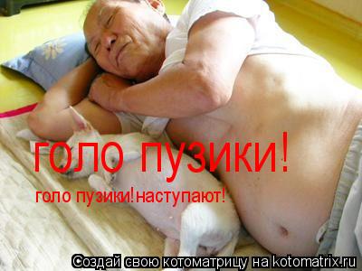 Котоматрица: голо пузики! голо пузики!наступают!