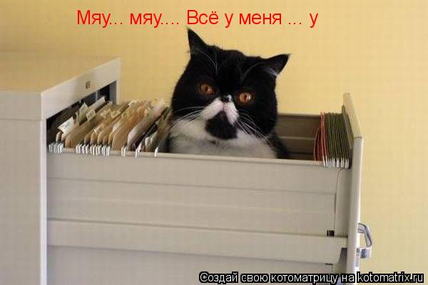 Котоматрица: Мяу... мяу.... Всё у меня ... у