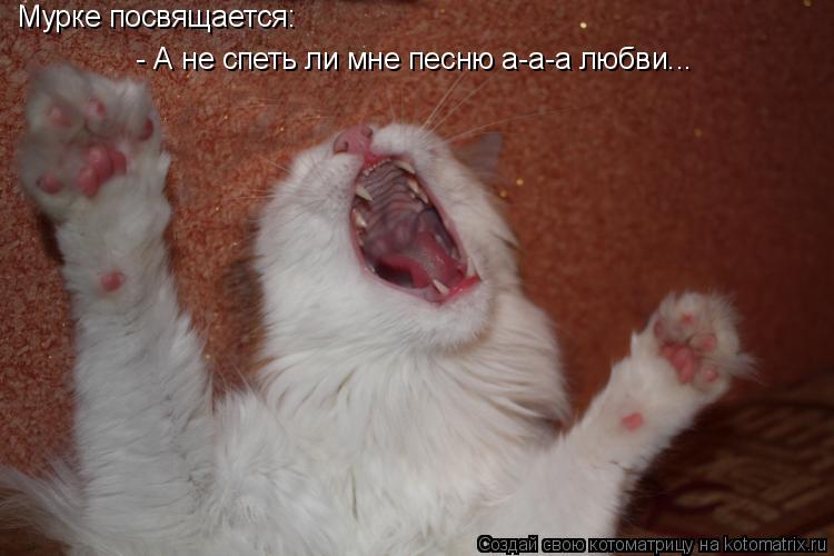 Котоматрица: Мурке посвящается: - А не спеть ли мне песню а-а-а любви...