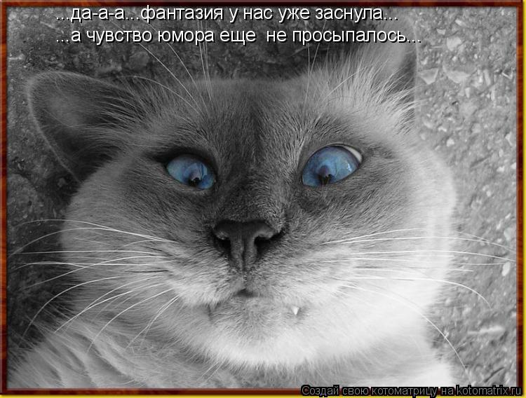 ...а чувство юмора еще не просыпалось... ...да-а-а...фантазия у нас уже заснула...... Котоматрица: ...а чувство юмора еще не просыпалось... ...да-а-а...фантазия у нас уже заснула...