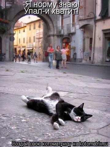 Котоматрица: -Я норму знаю! Упал-и хватит!