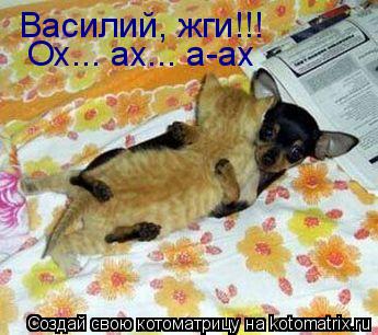 Котоматрица: Василий, жги!!!  Ох... ах... а-ах