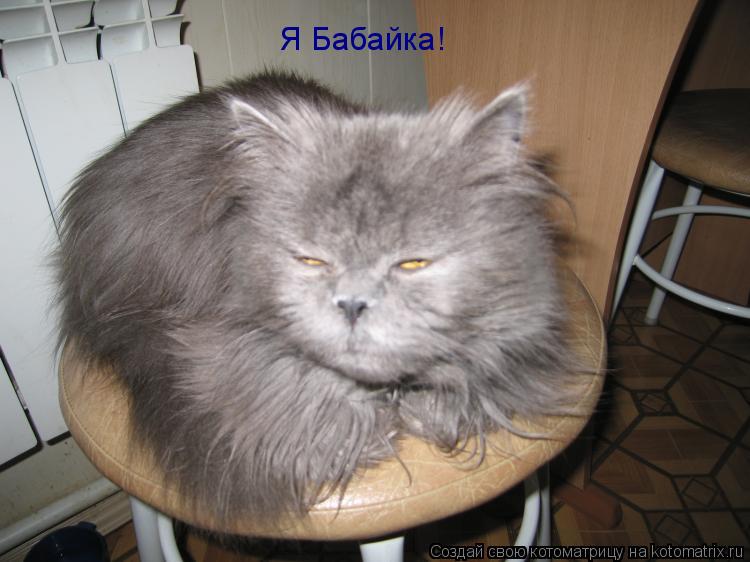 Котоматрица: Я Бабайка!