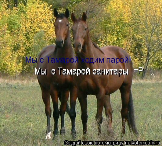 Котоматрица: Мы с Тамарой ходим парой! мы с Тамарой санитары Мы с Тамарой ходим парой!  Мы  с Тамарой санитары Мы  с Тамарой санитары  =Р