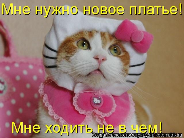 Мне нужно новое платье! Мне ходить не в чем!... Котоматрица: Мне нужно новое платье! Мне ходить не в чем!