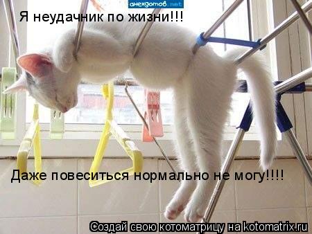 Котоматрица: Я неудачник по жизни!!! Даже повеситься нормально не могу!!!!