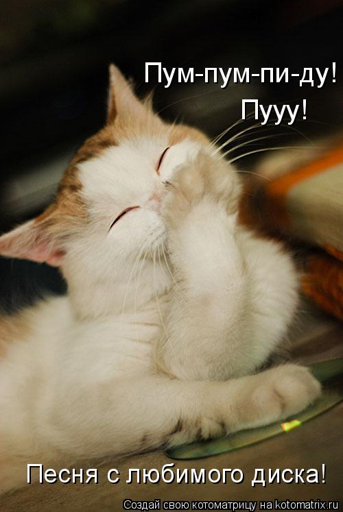 Котоматрица: Пум-пум-пи-ду!  Пууу! Песня с любимого диска!